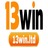 13winltd