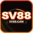 SV88cam