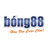 nhacaibong88