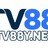 tv88ynet