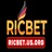 Ricbetusorg