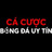 cacuocbongda12